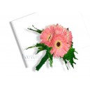 Gerbera Hand Tied Bouquet