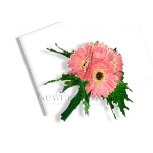 Gerbera Hand Tied Bouquet